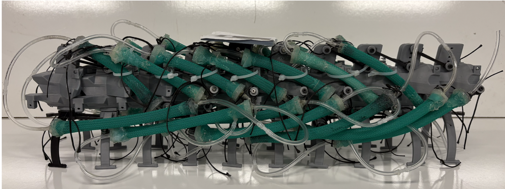 Full robot assembly with McKibben actuators, side view