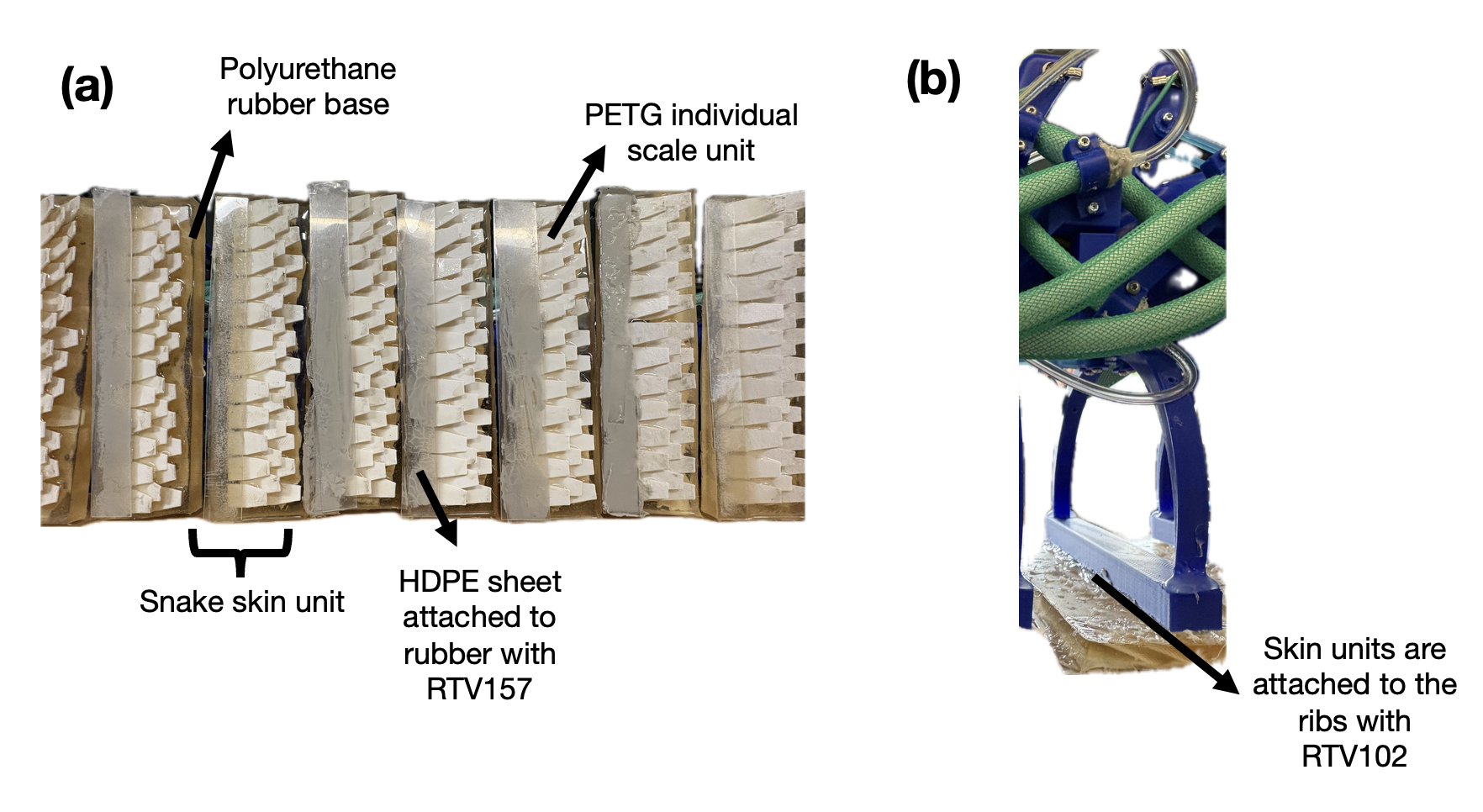 Scale attachment details on the snake robot
