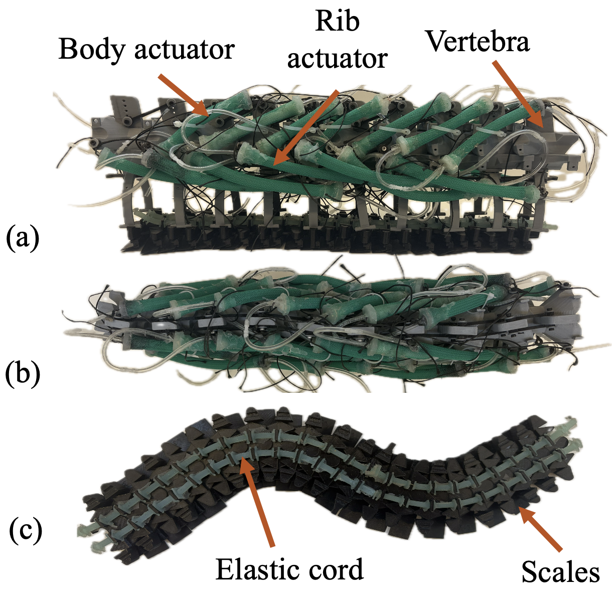 Snake robot with modular scale system attached