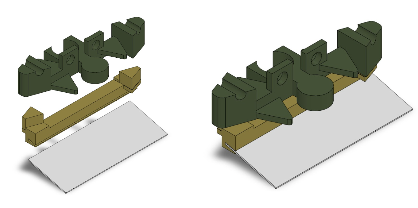 Ventral scale main design