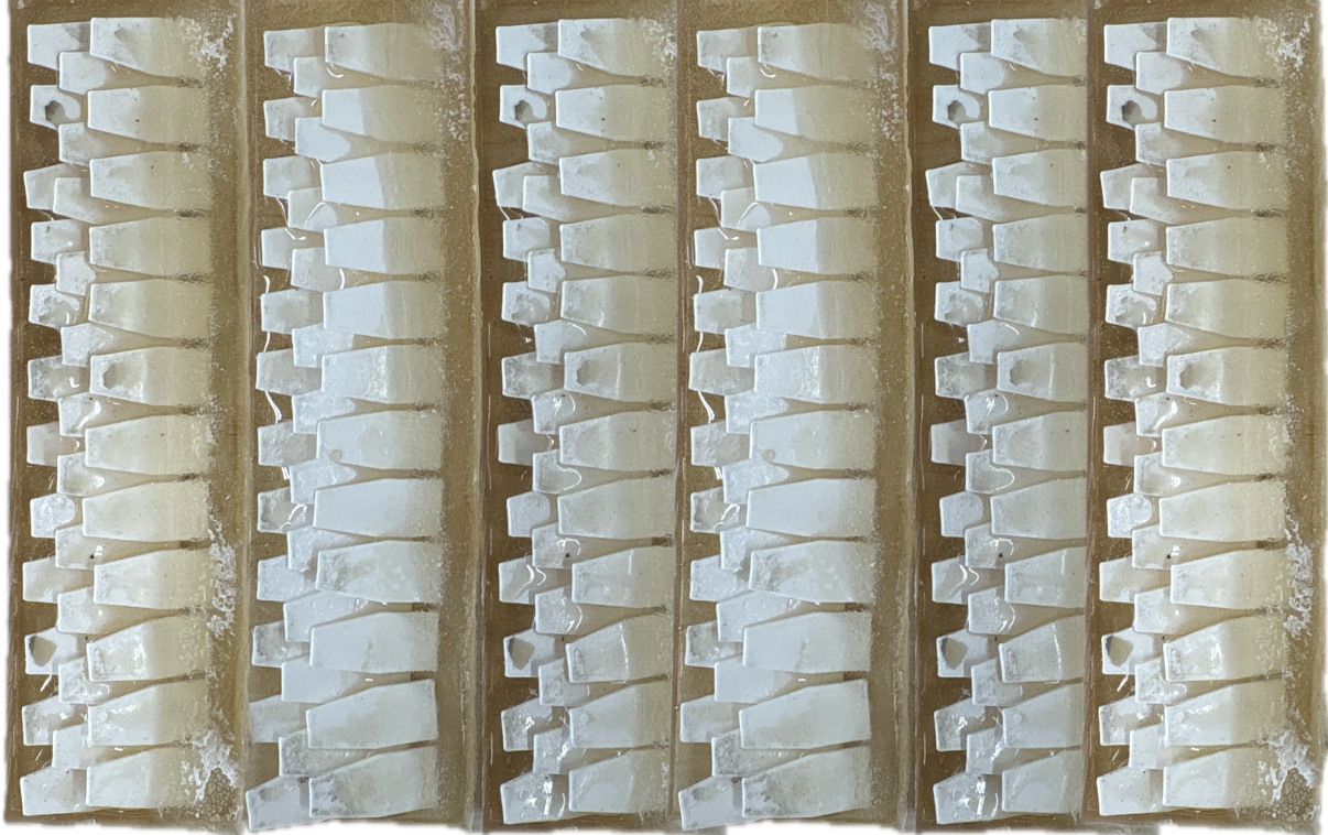 Fabricated modular ventral scales